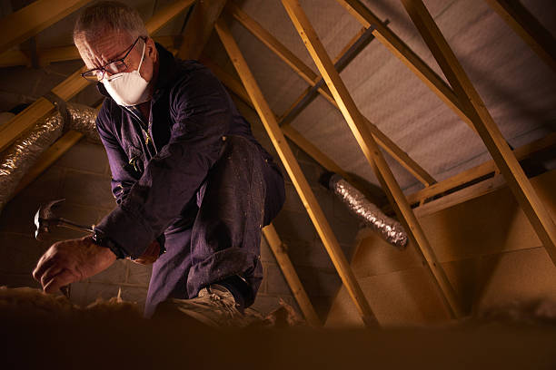Best Eco-Friendly Insulation in Sayville, NY